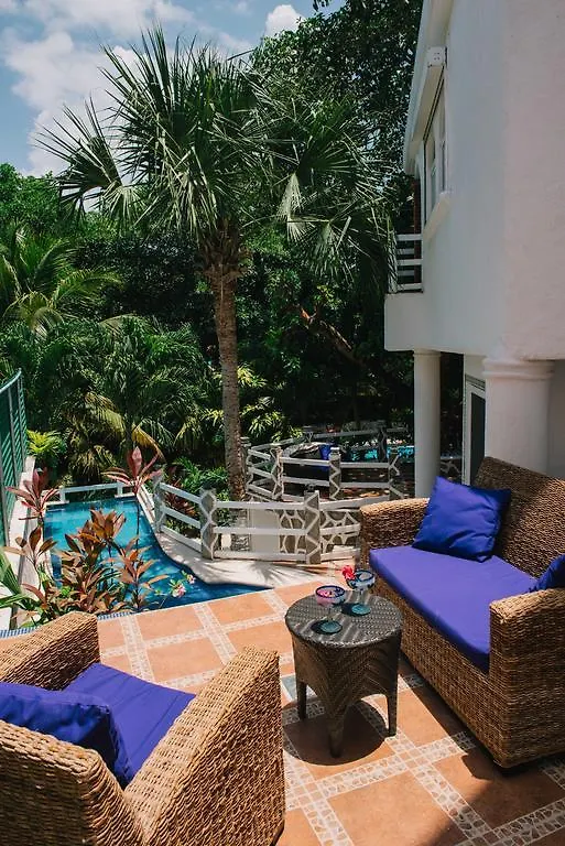 Bed & Breakfast Buen Dia Playa Mexico