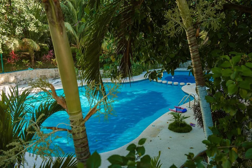 Bed & Breakfast Buen Dia Playa  Playa del Carmen