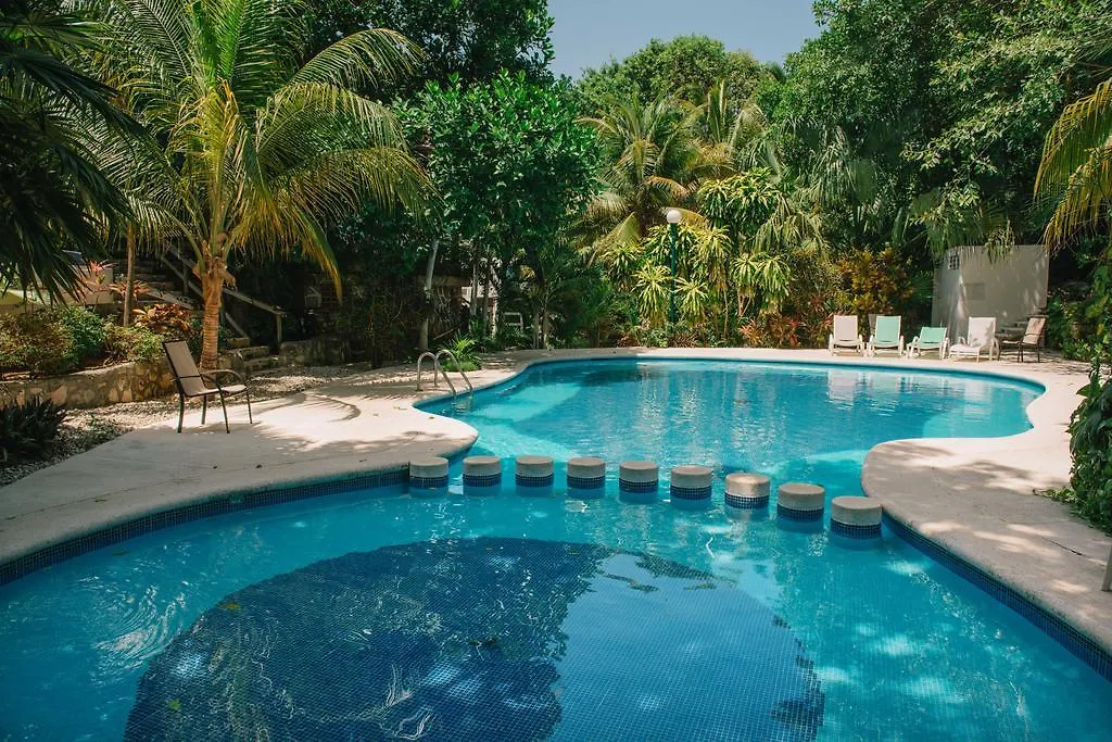 Bed & Breakfast Buen Dia Playa  Playa del Carmen